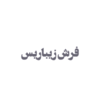 شرکت زیباریس